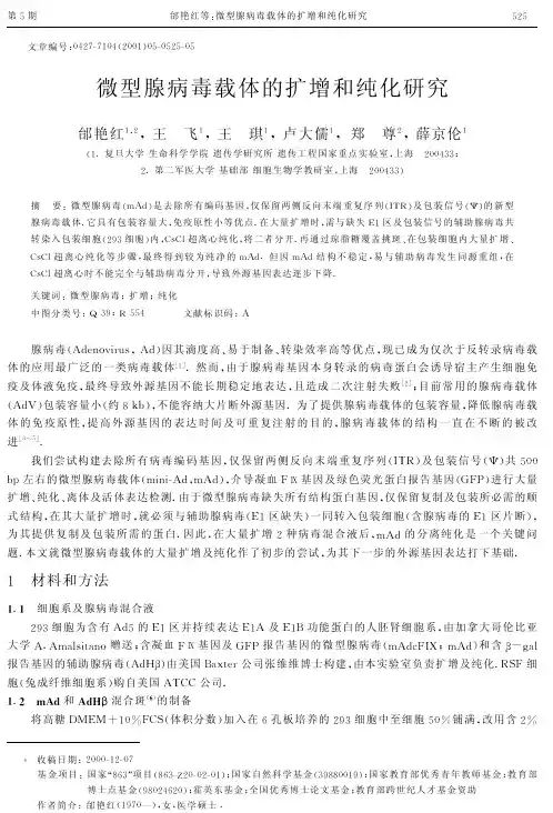 微型腺病毒载体的扩增和纯化研究（论文）