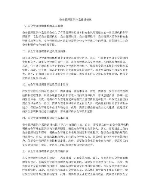 安全管理组织体系建设情况
