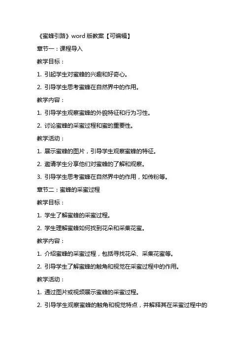 《蜜蜂引路》word版教案【可编辑】