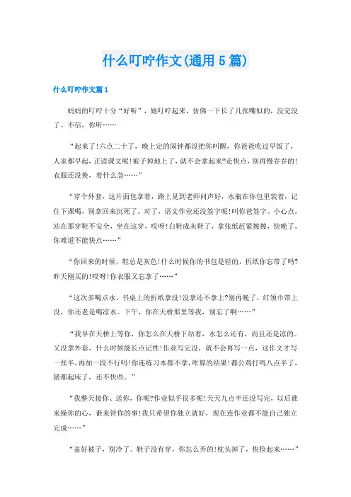 什么叮咛作文(通用5篇)