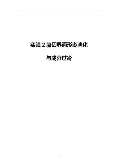 实验2—凝固界面形态演化与成分过冷