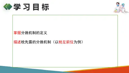 正常分娩期妇女的护理—分娩机制(妇产科护理课件)