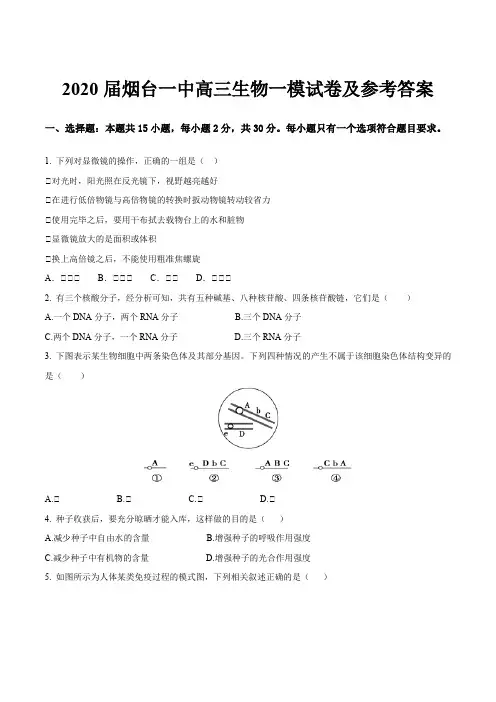 2020届烟台一中高三生物一模试卷及参考答案