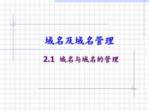 域名及域名管理 ppt课件