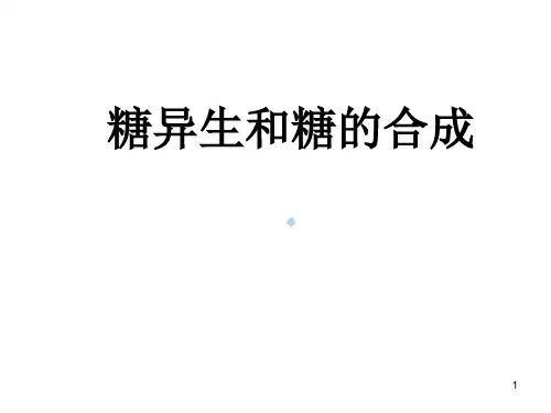 糖异生及糖原合成PPT课件