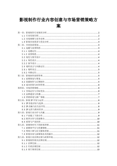 影视制作行业内容创意与市场营销策略方案