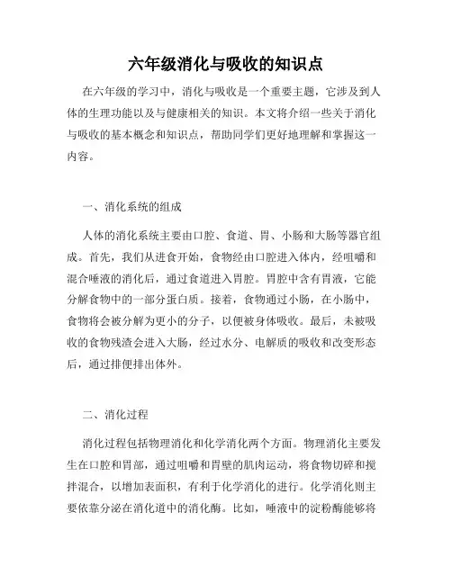 六年级消化与吸收的知识点
