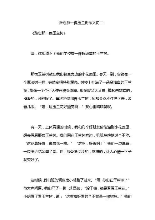 难忘那一棵玉兰树作文初二