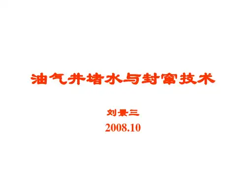 油气井堵水与封窜技术