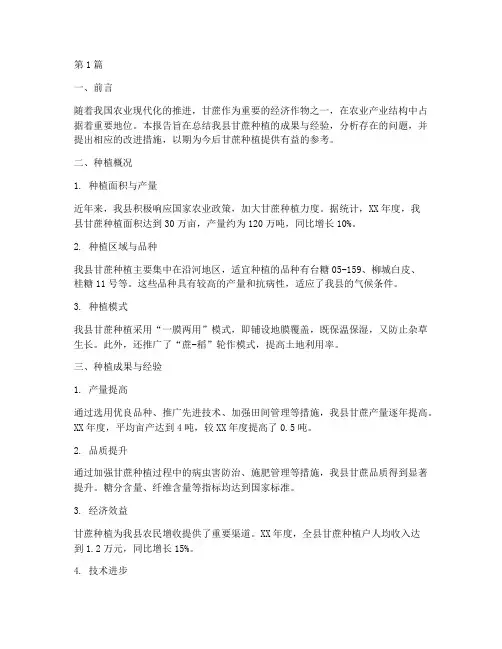 种植甘蔗总结报告范文(3篇)