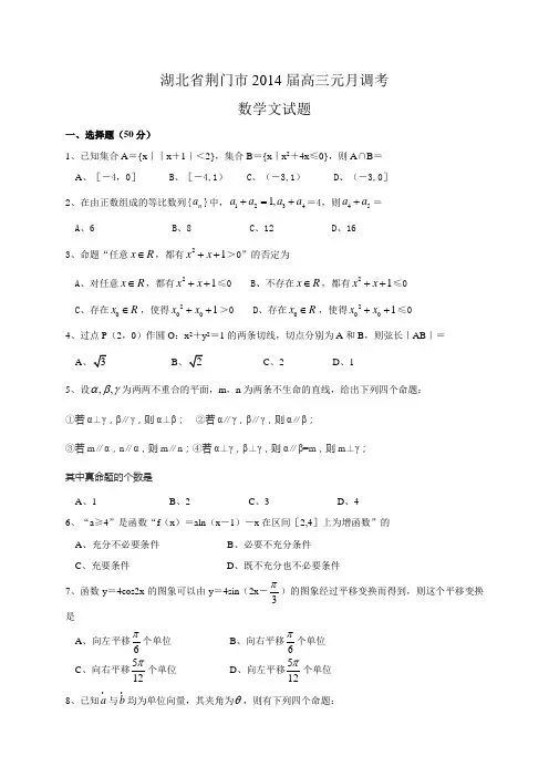 湖北省荆门市2014届高三元月调考数学文试题Word版含答案