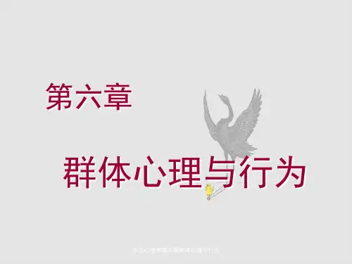 社会心理学第六章群体心理与行为