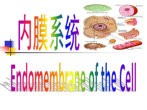 细胞生物学内膜系统