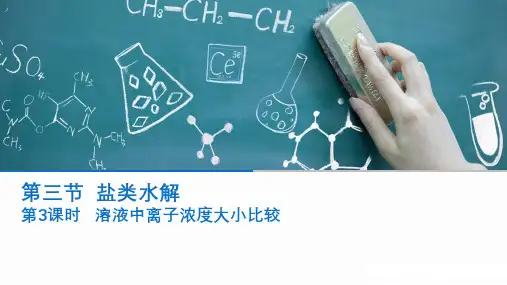 高中化学选修4人教版3.3盐类水解-离子浓度大小比较guan
