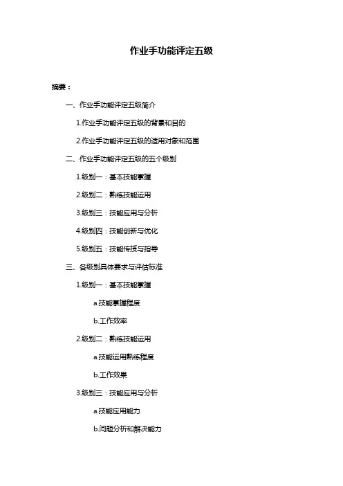 作业手功能评定五级