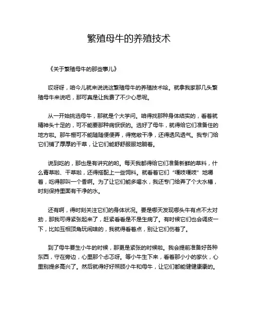 繁殖母牛的养殖技术