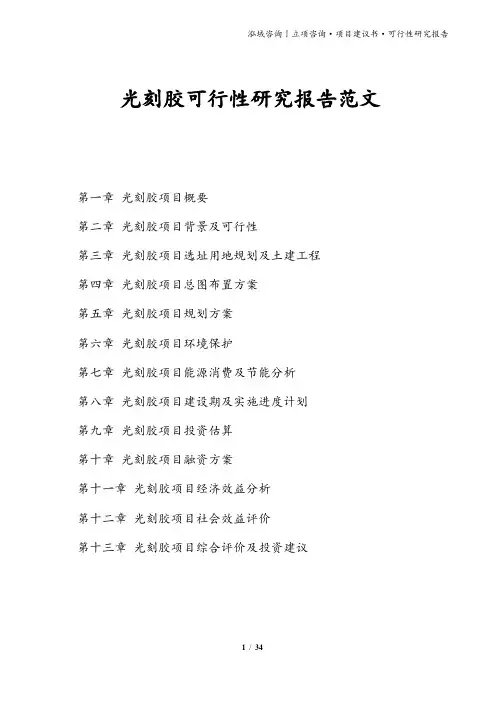 光刻胶可行性研究报告范文
