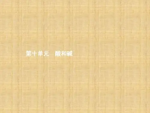 中考化学总复习 第十单元 酸和碱课件