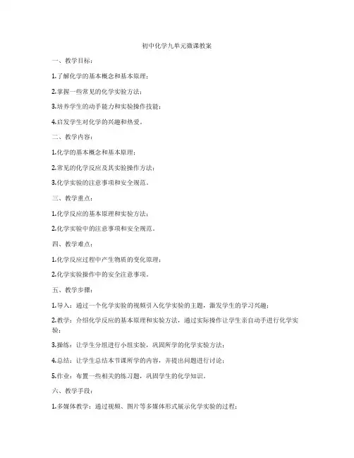 初中化学九单元微课教案