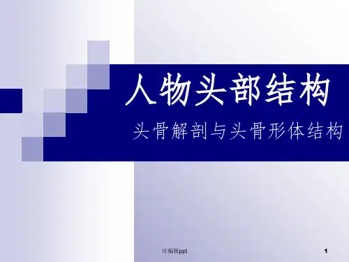 头骨结构ppt课件