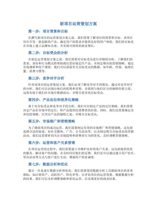 新项目运营策划方案