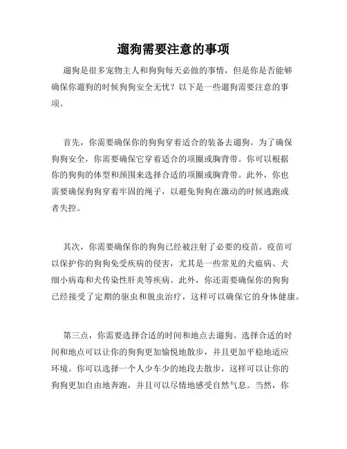 遛狗需要注意的事项