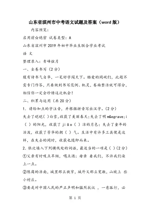 山东省滨州市中考语文试题及答案(word版)