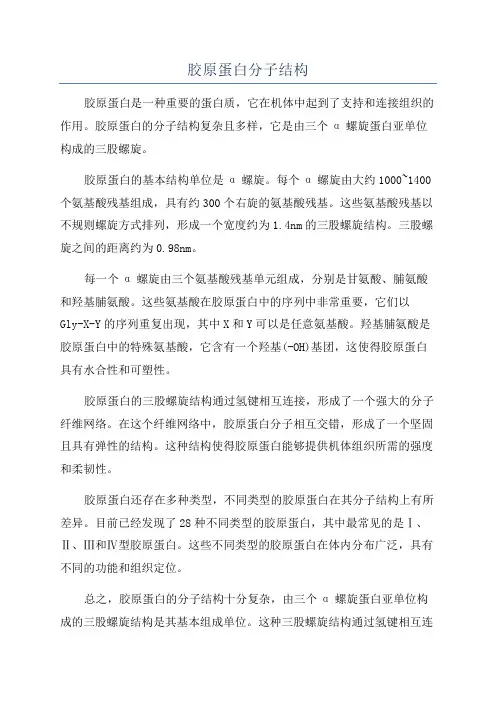 胶原蛋白分子结构