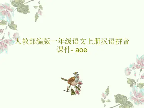 人教部编版一年级语文上册汉语拼音课件- aoe共25页PPT