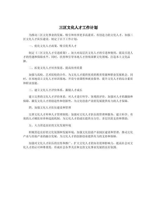 三区文化人才工作计划