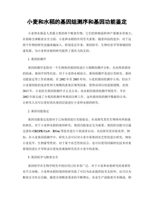 小麦和水稻的基因组测序和基因功能鉴定