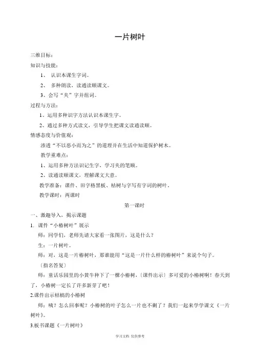一片树叶教案(详案)