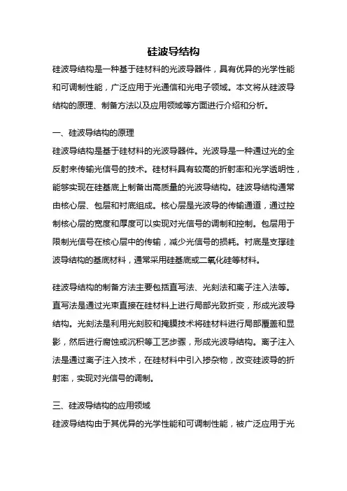 硅波导结构