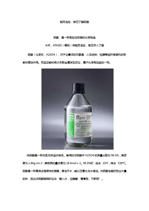 ATAGO(爱拓)在线折光仪PRM-100α,在线检测硫酸浓度