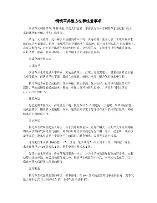 铜钱草养殖方法和注意事项