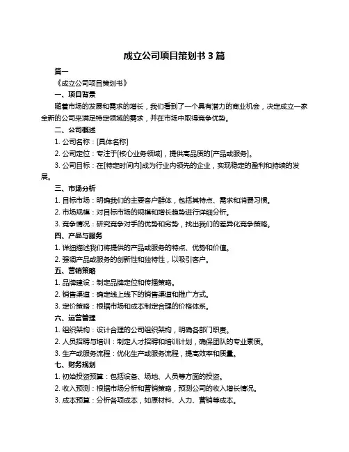 成立公司项目策划书3篇