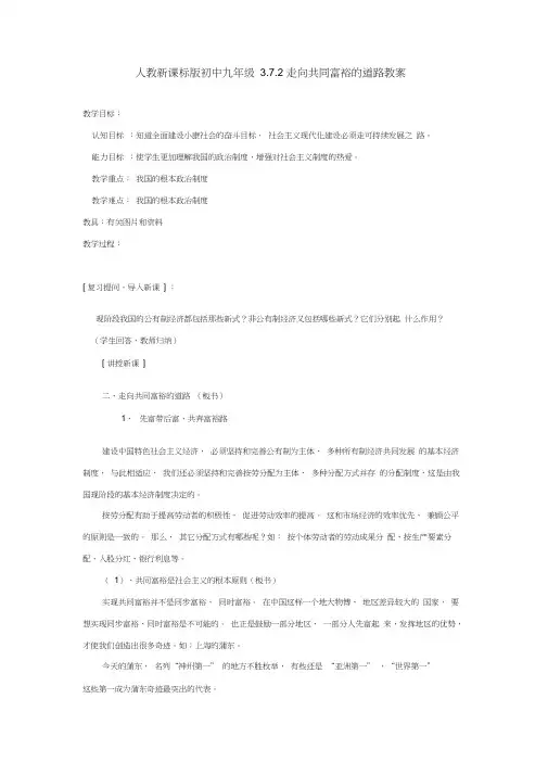 人教新课标版九年级3.7.2走向共同富裕的道路教案