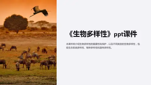 《生物多样性》课件