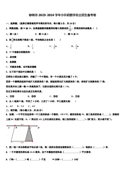 鄂州市2023-2024学年小升初数学自主招生备考卷含解析