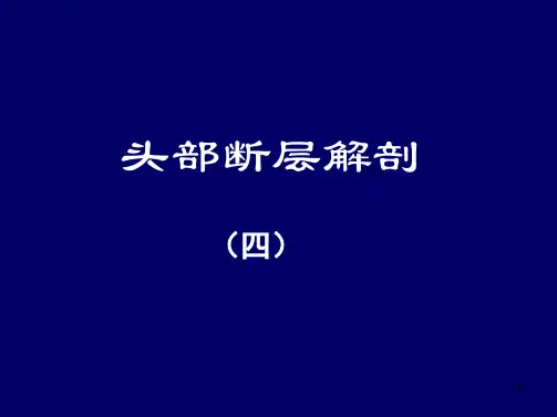 大脑前中后动脉血管分布图参考幻灯片