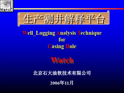生产测井解释软件 Watch