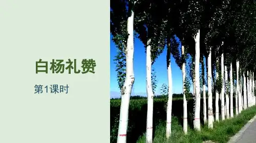 部编版八年级语文上册_《白杨礼赞》PPT课件