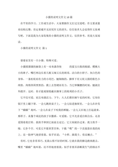 小猫的说明文作文10篇