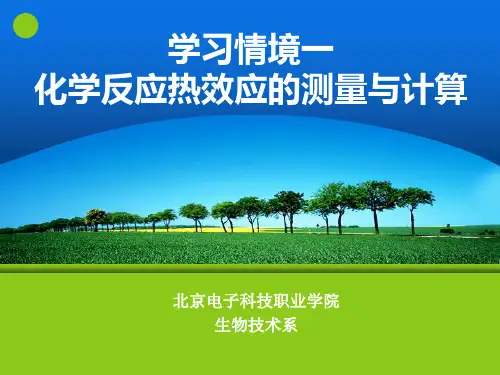 1化学反应热效应测量与计算