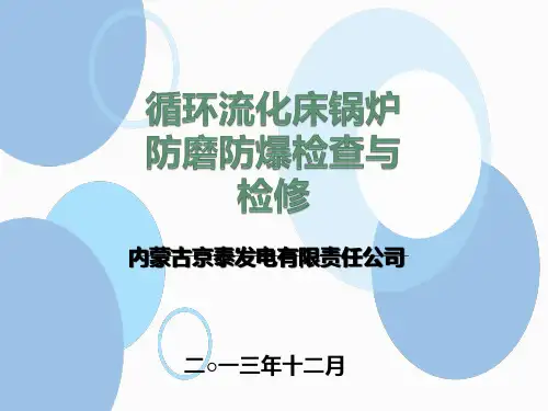 循环流化床锅炉防磨防爆检查与检修