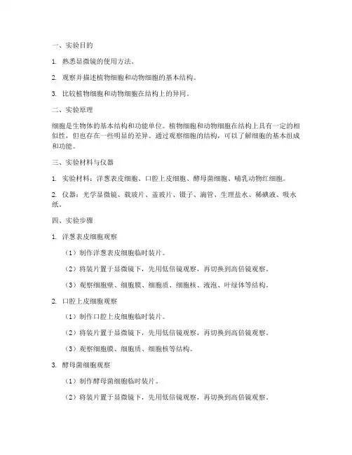 生物细胞观察实验报告