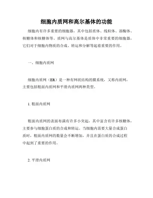 细胞内质网和高尔基体的功能