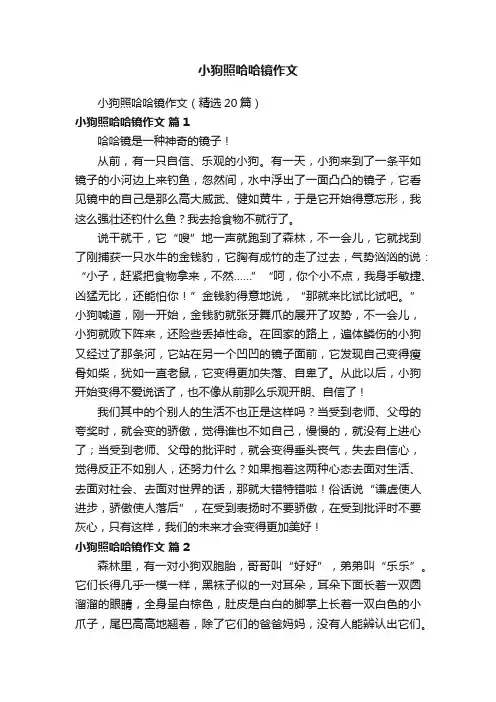 小狗照哈哈镜作文（精选20篇）