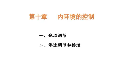 泌尿系统+免疫