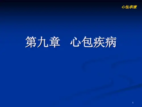 【心脏彩超】2-4-1心包积液